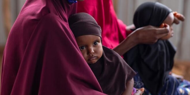 Somali families face renewed violence amid worsening hunger crisis