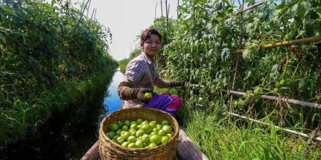 The world is waging a ‘war on nature’ as progress in achieving biodiversity targets lags