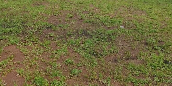 UMUAHIA TOWNSHIP STADIUM: WORST STATE OF PLAYING FIELD RAISES CONCERNS AFTER WEEK NINTH OF 2026/27 NPFL SEASON