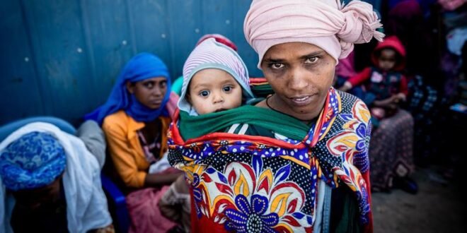 World News Brief: Aid to Ethiopia, Abyei drone strike condemned, extreme heat and newborn health