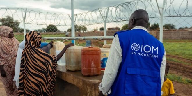 World News Brief: ‘Terrifying’ Attacks in Sudan, Israeli Attacks in Syria Increase, Most Women and Girls Become Homeless in Gaza